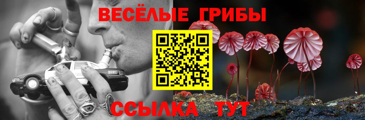Псилоцибиновые грибы MAGIC MUSHROOMS  Вход с VPN  Нерюнгри 